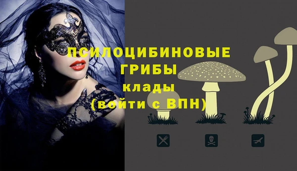 мескалин Болотное