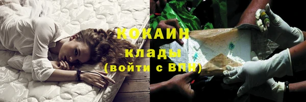 шишки Вязьма
