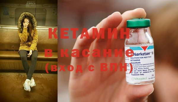 шишки Вяземский