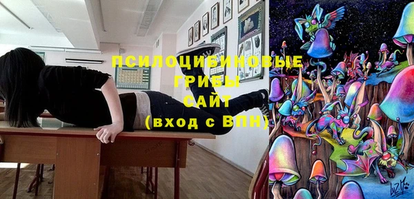 твердый Вязники
