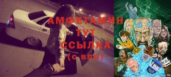 сатива Болхов