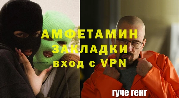 шишки Вязьма