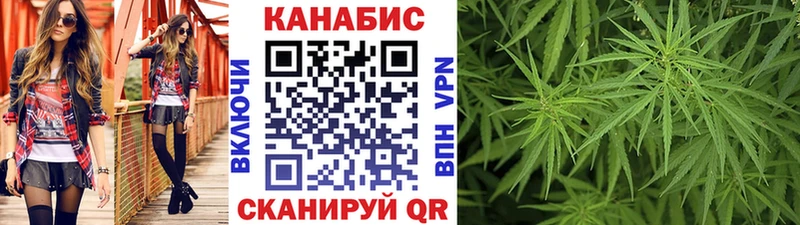 где продают Гаджиево Каннабис SATIVA & INDICA